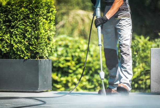Best Graffiti Removal  in Melbourne, AR